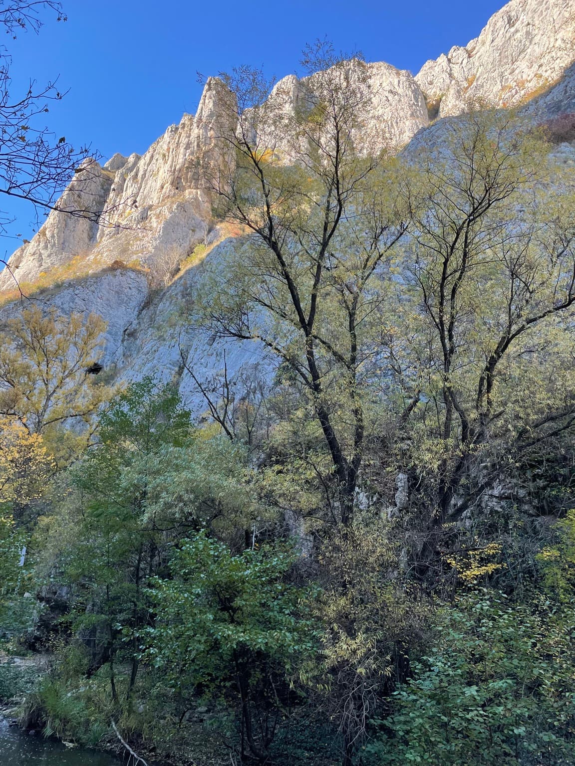 Creste de calcar ridicându-se deasupra pădurii, văzute de jos într-o zi senină de toamnă