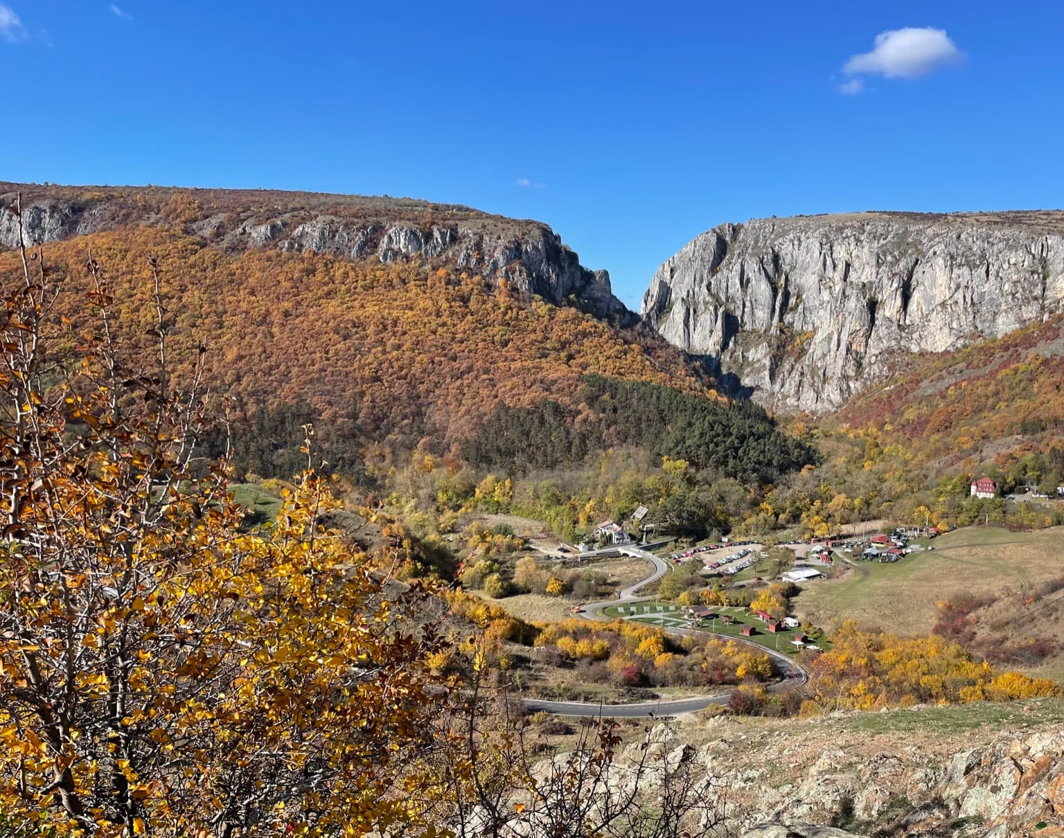 Defileul Cheilor Turzii văzut de sus, cu pereții de calcar de o parte și de alta a văii