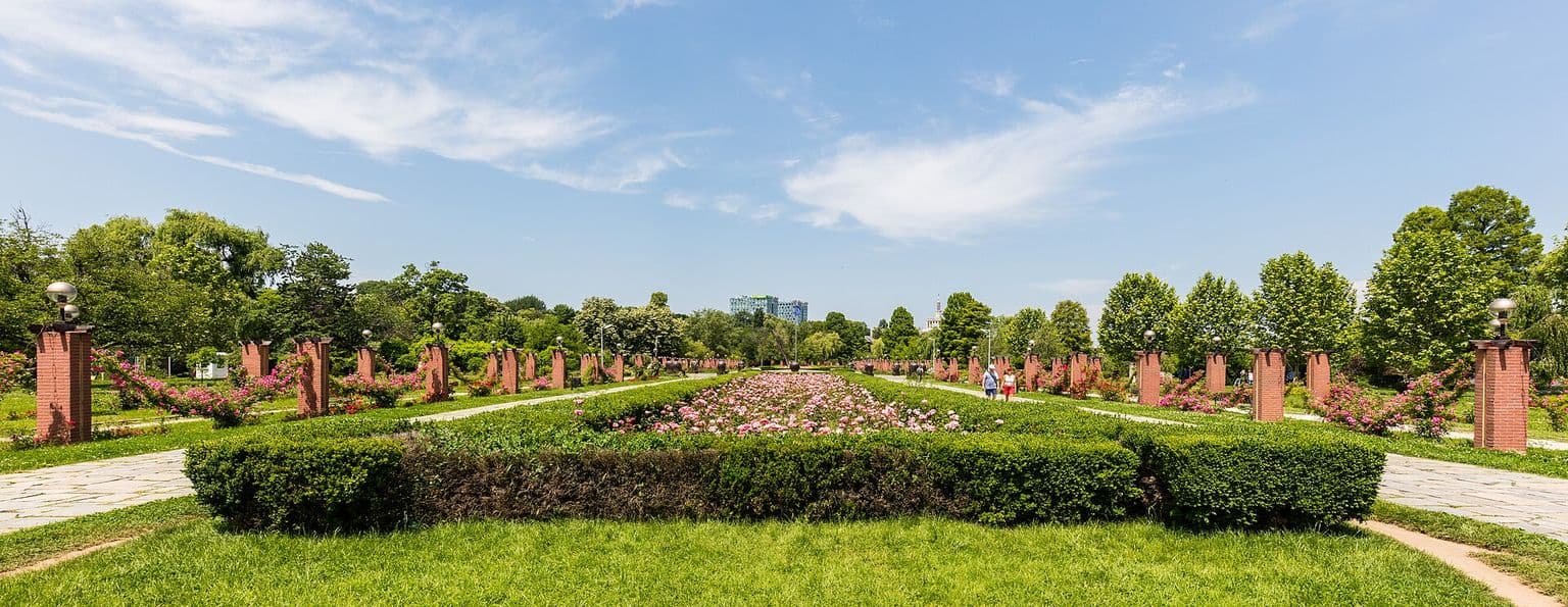 Rondul cu trandafiri din Parcul Herăstrău: straturi de flori între garduri vii tunse, cu coloane de piatră de jur împrejur și copaci în spate
