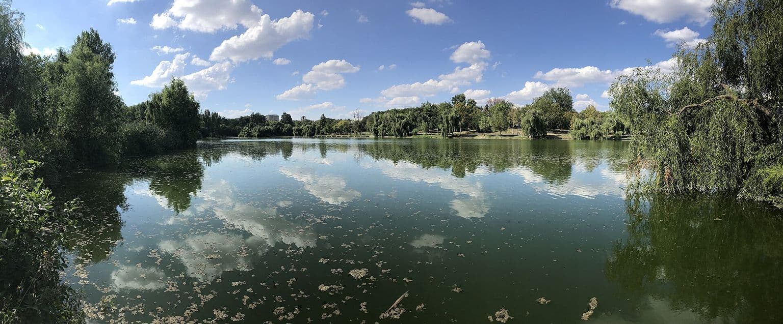 Panoramă a Lacului Tineretului într-o zi de vară, cu nori albi reflectați în apă și sălcii pe maluri