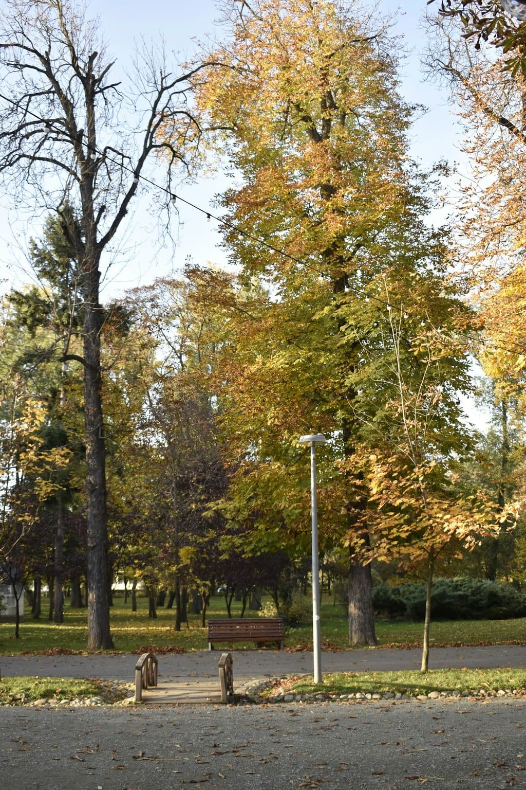 Copaci îngălbeniți de toamnă în Parcul Central, deasupra unei alei cu un felinar și o bancă