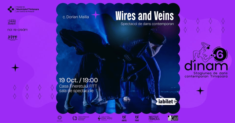 Stagiunea DINAM #6: Wires and Veins