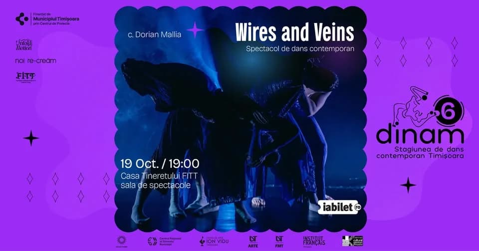 Stagiunea DINAM #6: Wires and Veins
