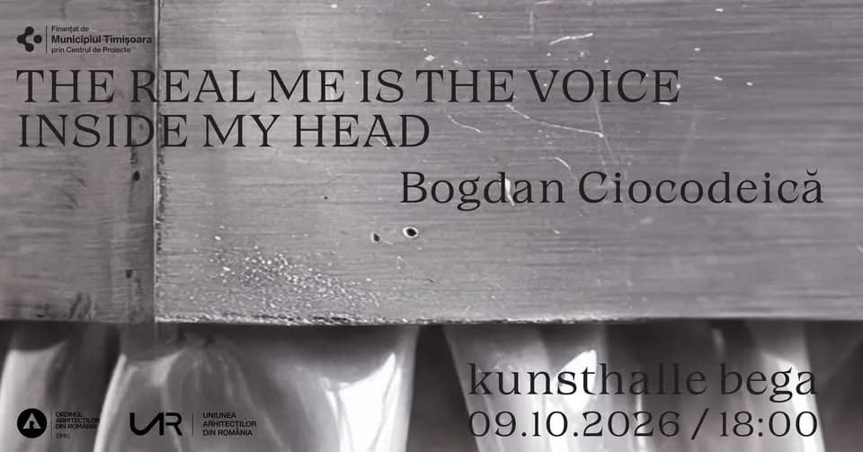 VERNISAJ | The real me is the Voice inside my head | Bogdan Ciocodeică