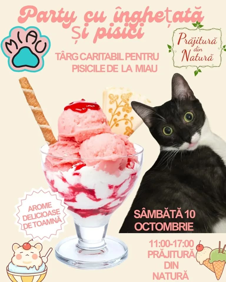 Party caritabil cu înghețată și pisici