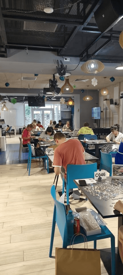 Campionatul de Jigsaw Puzzle - Etapa a XI-a