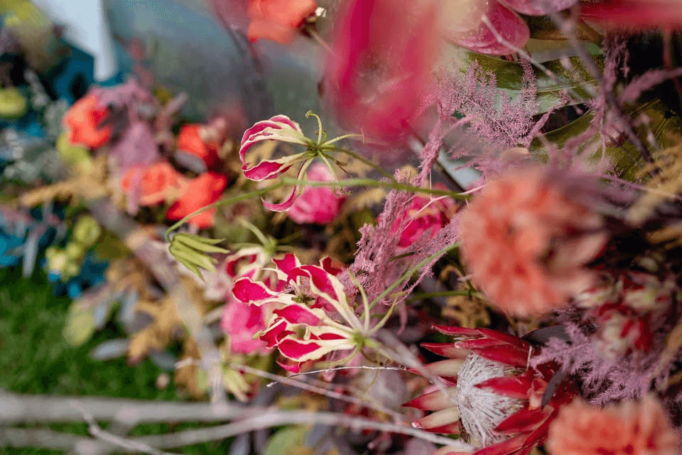 FLORALL