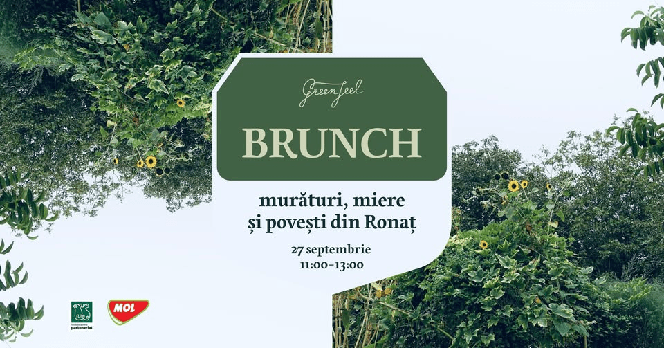 🍂 Brunch la GreenFeel – murături, miere și povești din Ronaț