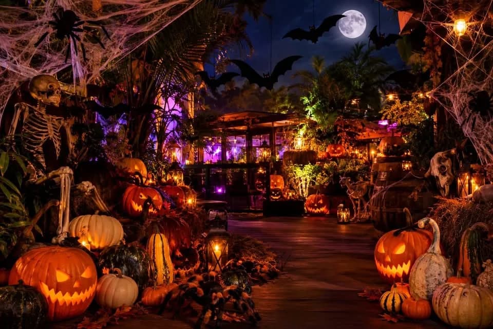 Halloween la ExotiCorner - Lasă frica acasă!