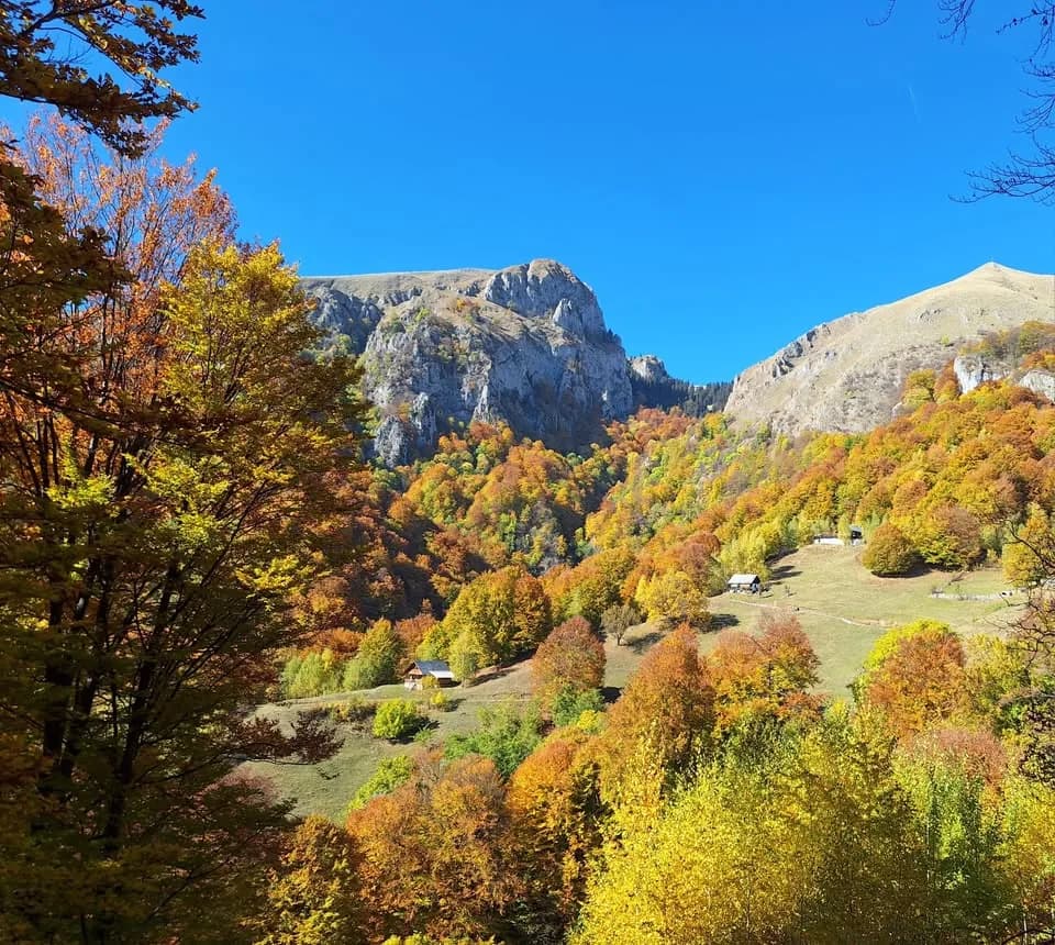‘‘Spectacolul toamnei în Buila-Vânturarița ’’