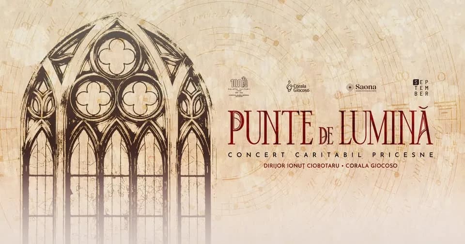 Punte de lumină | Concert caritabil pricesne