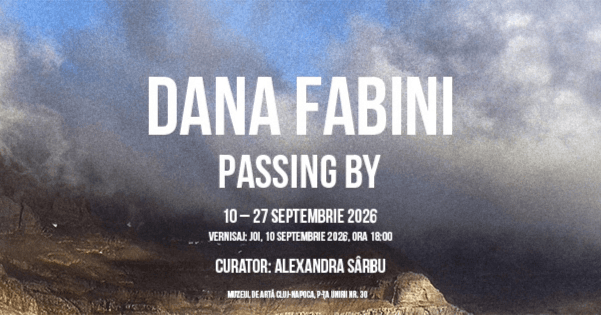 DANA FABINI | Passing By