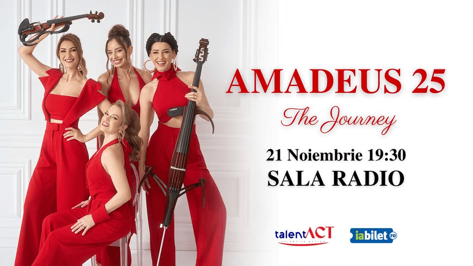 Amadeus 25 - The Journey