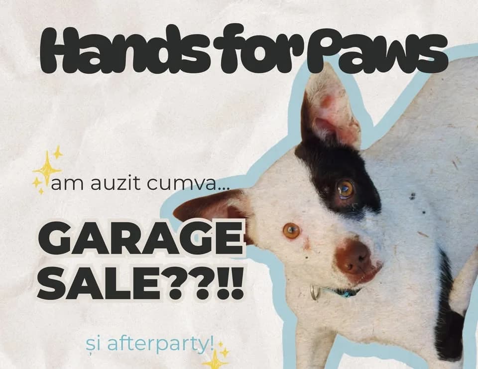 Hands for Paws: GARAGE SALE & Afterparty 🐾✨